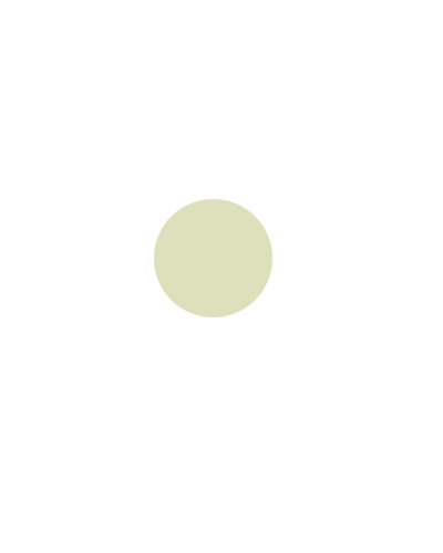 10.0-10N
